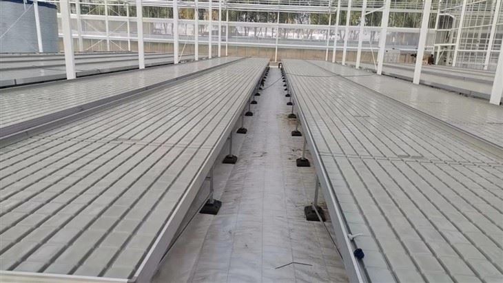 Ebb And Flow Seedbed suppliers